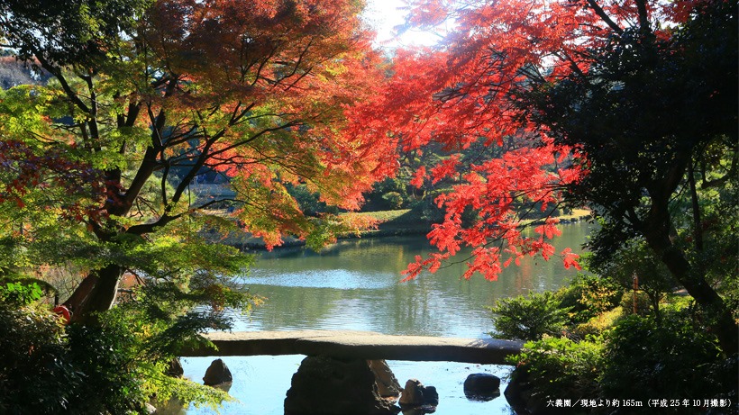  สวนริคุงิเอน (rikugien garden), โตเกียว สถานที่ ชมใบไม้เปลี่ยนสีที่ญี่ปุ่น