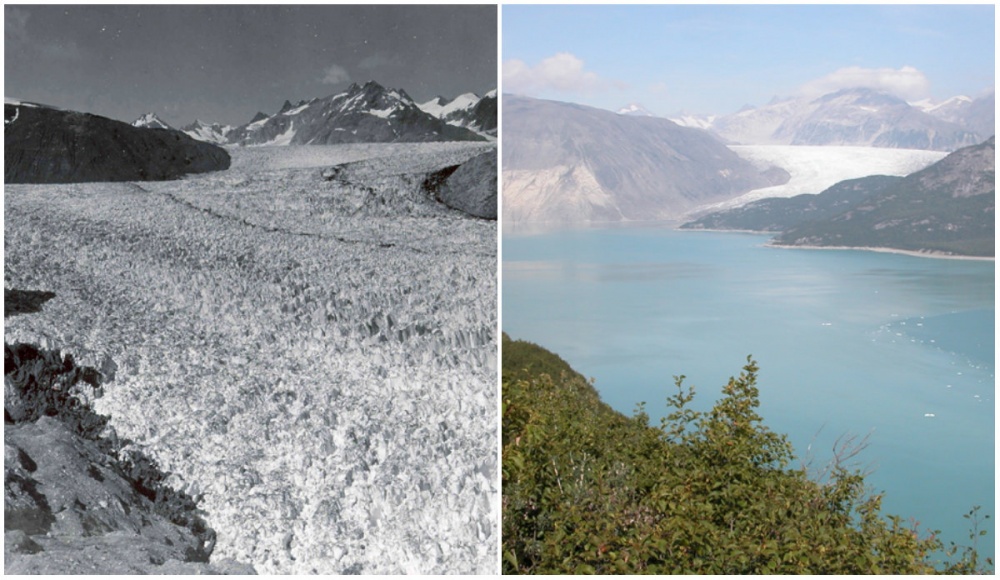 Muir Glacier, Alaska. August, 1941 — August, 2004.