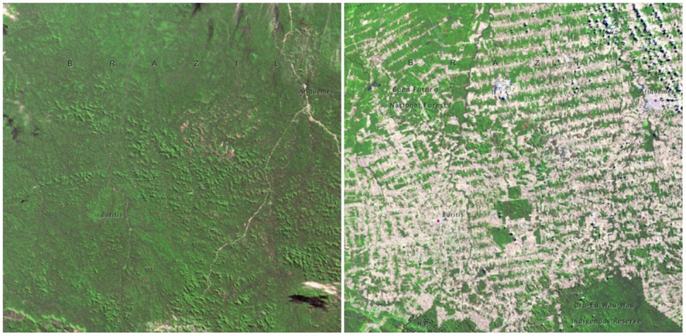 Forests in Rondonia, Brazil. June, 1975 — August, 2009