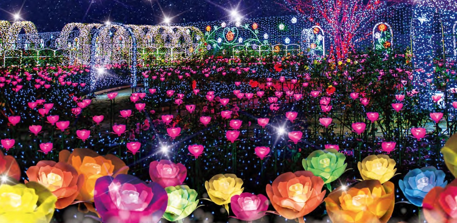 Ashikaga Flower Fantasy