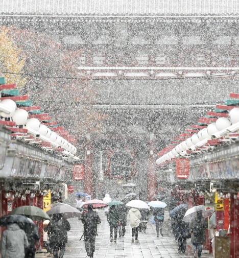 เฟิร์สสโนว์! หิมะตกที่โตเกียว ประเทศญี่ปุ่น เร็วกว่าปกติในรอบ 54 ปี 