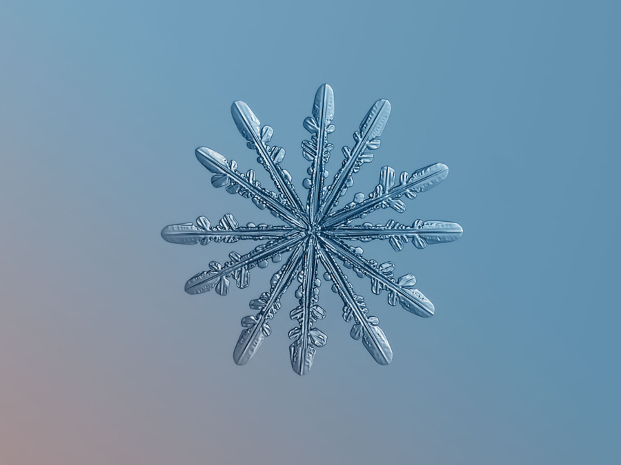 ซูมใกล้ๆ เกล็ดหิมะ (Snowflakes)