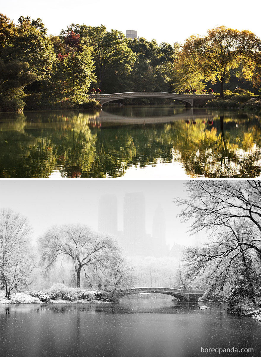 Central Park นิวยอร์ก สหรัฐอเมริกา