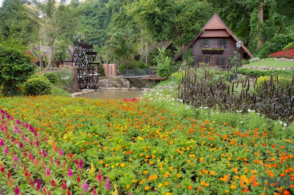 ห้องพัก Flora Creek Chiang Mai