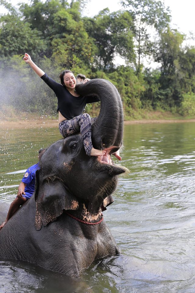 กิจกรรมขี่ช้าง Kwai Tara Riverside Villas 