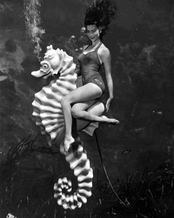 ภาพถ่ายใต้น้ำปี 1938 