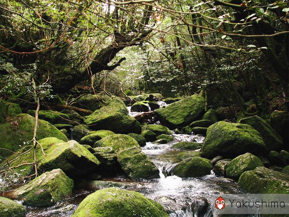 10 สถานที่เที่ยวมรดกโลกในญี่ปุ่น เทือกเขาชิระกะมิ