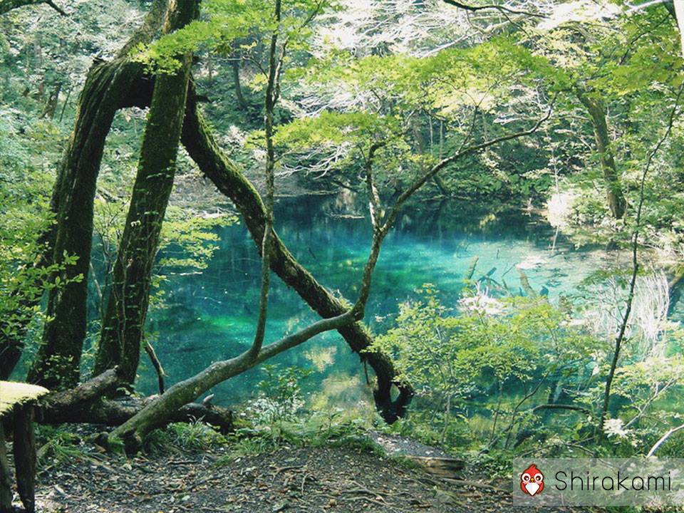 10 สถานที่เที่ยวมรดกโลกในญี่ปุ่น เทือกเขาชิระคะมิ