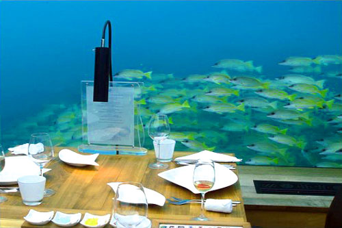 ร้านอาหารใต้น้ำ เกาะมัลดีฟส์