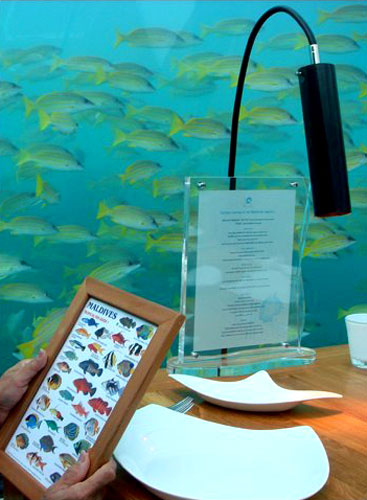 ร้านอาหารใต้น้ำ Ithaa Undersea Restaurant มัลดีฟส์