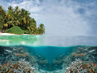 อุทยานธรรมชาติปะการังทับบาตาฮา