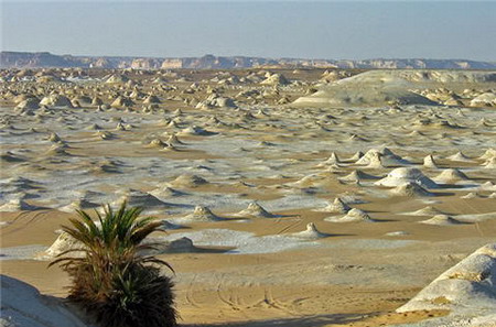 หินรูป ทรงประหลาด ในทะเลทรายขาว (White Desert) ประเทศ อียิปต์