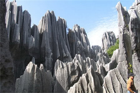ป่าหิน (Stone Forest) เมืองคุนหมิง มลฑลยูนาน ประเทศจีน