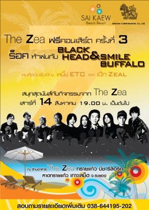 The Zea Live Concert Series