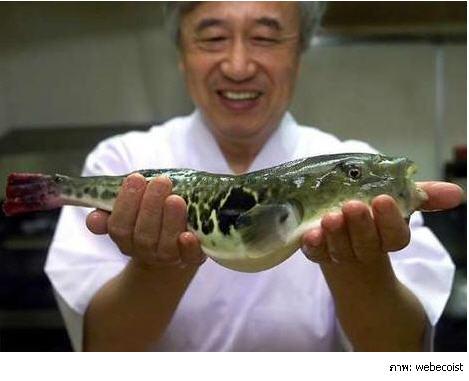 ปลาปักเป้า - ประเทศญี่ปุ่น
