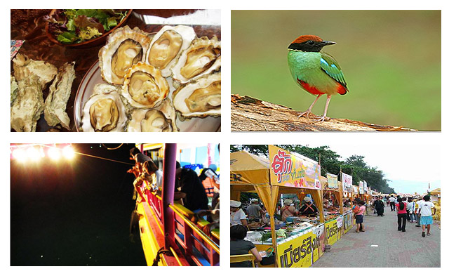 เทศกาลกินหอย ดูนก ตกหมึก ประจำปี 2553