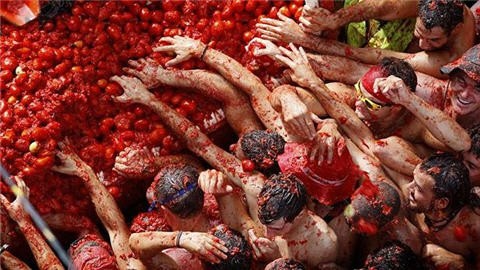เทศกาลแปลก เทศกาลปามะเขือเทศ (La Tomatina) 