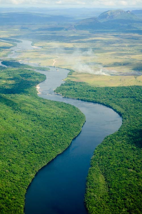 ป่าอะเมซอนในอเมริกาใต้