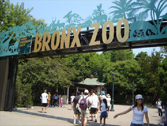 Bronx Zoo, New York City, USA