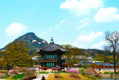 Everland korea ฤดูกาล วางแผนท่องเที่ยว สวนสนุก เตรียมตัวเที่ยว เที่ยวเกาหลี โพรวองซ์