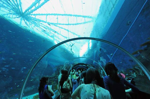 S.E.A. พิพิธภัณฑ์สัตว์น้ำ ใหญ่ที่สุดในโลก, สิงคโปร์