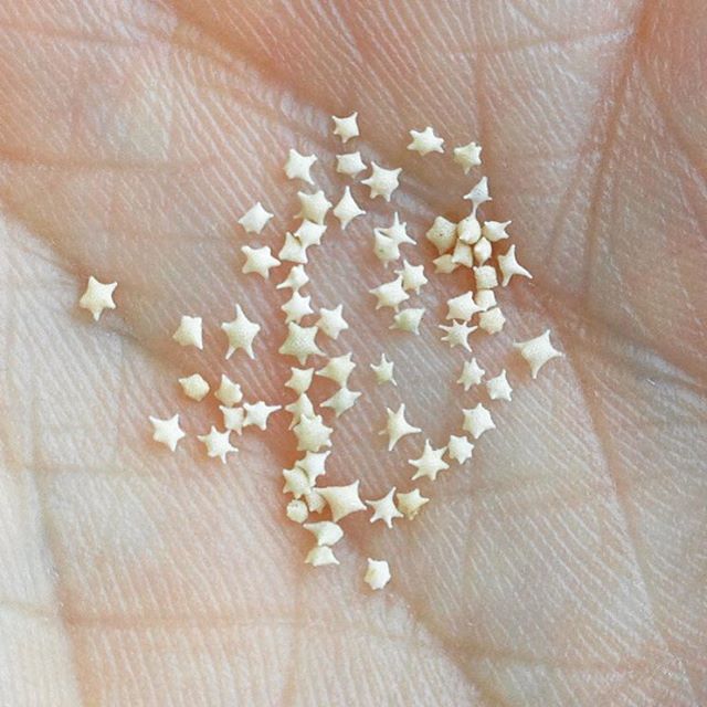หาดทรายรูปดาว" บนเกาะทาเกะโทมิ ประเทศญี่ปุ่น