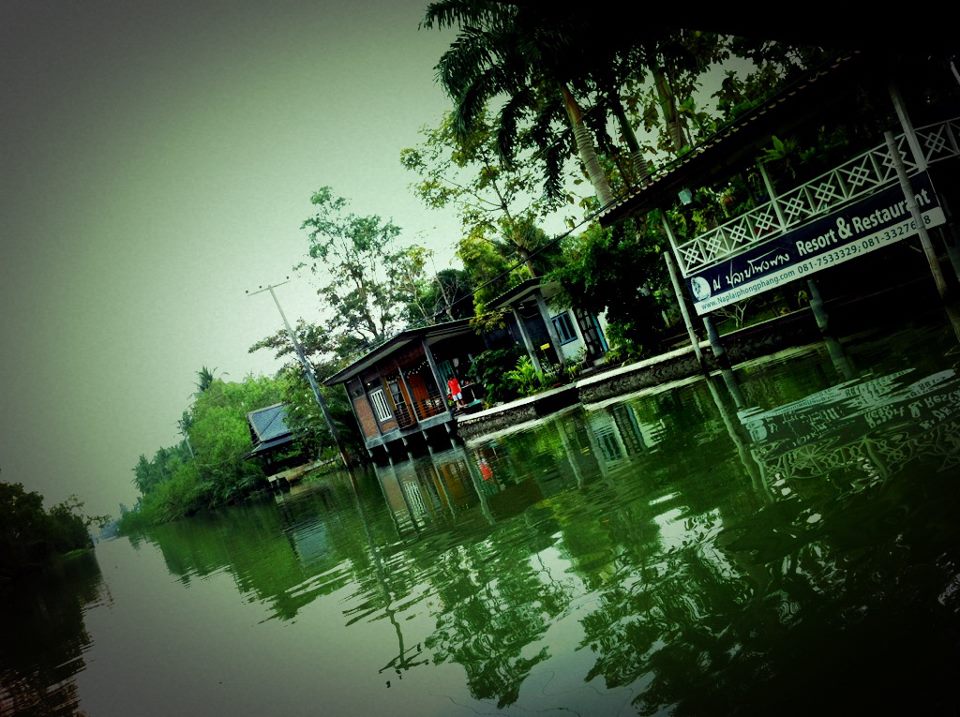 393961_318211024878476_533492829_n