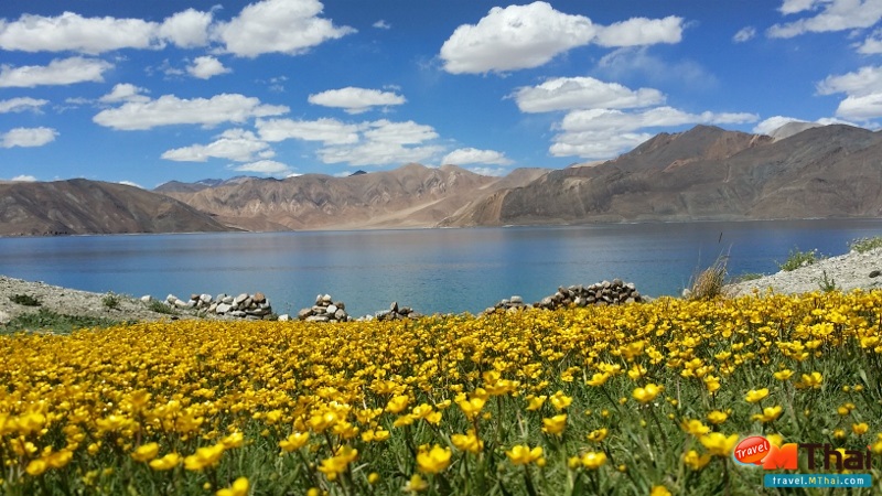 Leh Ladakh ทิเบต ทิเบตน้อย เที่ยวทิเบต เที่ยวอินเดีย เทือกเขาหิมาลัย เลห์-ลาดักห์