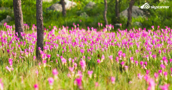 เที่ยวไทย-พค3