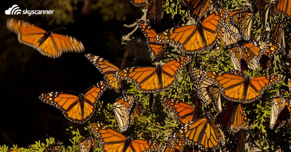 เที่ยวไทย-พค4