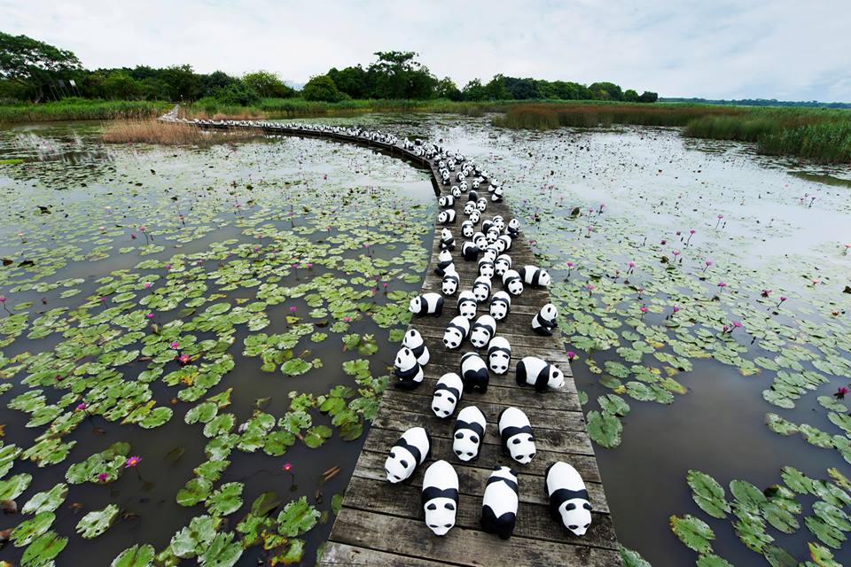 10246658_695421220493524_1202565132526960630_n