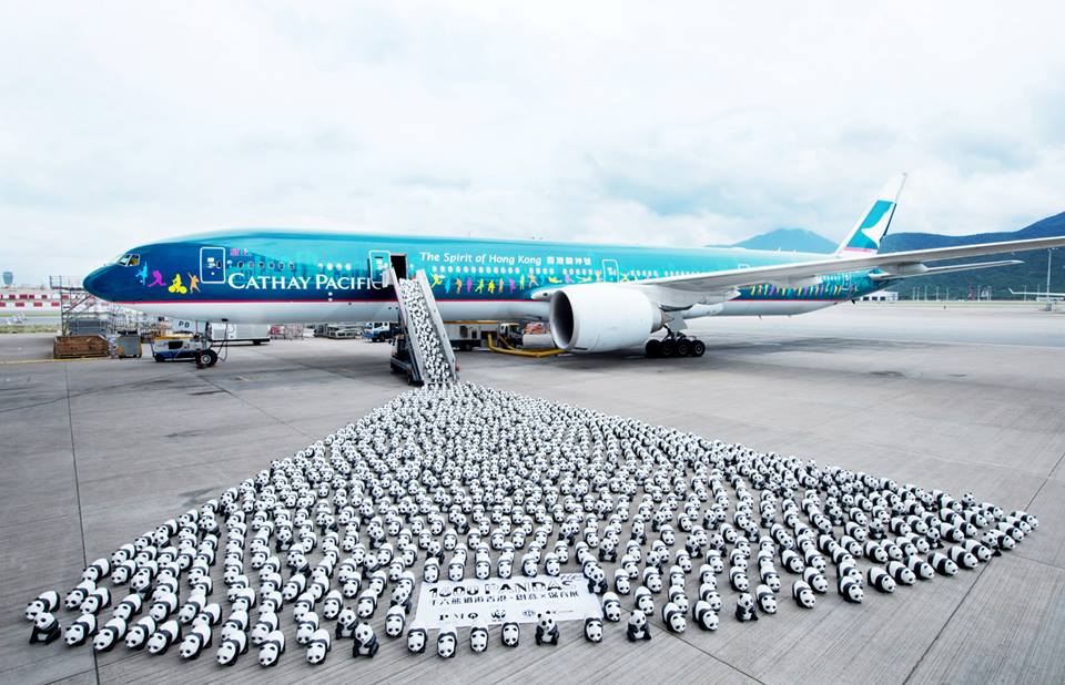 10389693_693955280640118_6736618365607511583_n