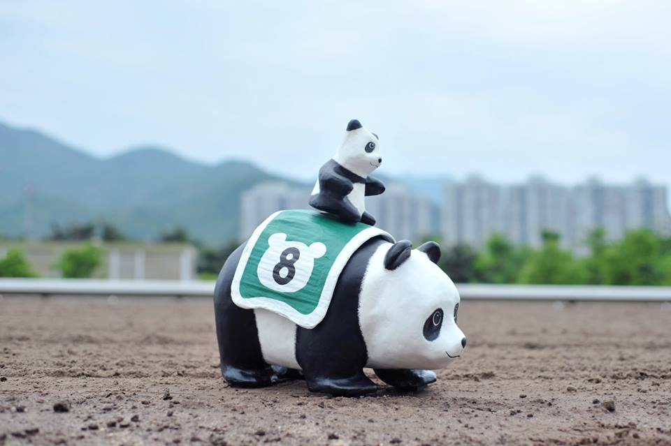แพนด้าบุกฮ่องกง โปรโมทอนุรักษ์สัตว์ป่า
