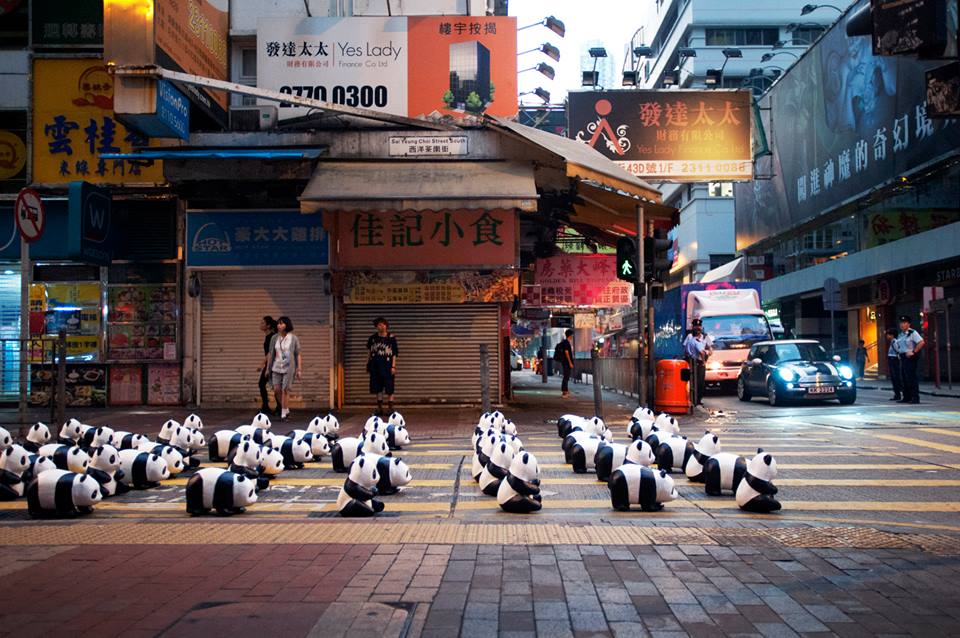 แพนด้าบุกฮ่องกง