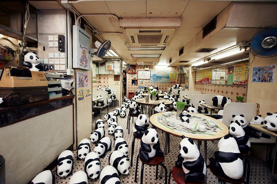 10462649_695421253826854_4647664223358878572_n