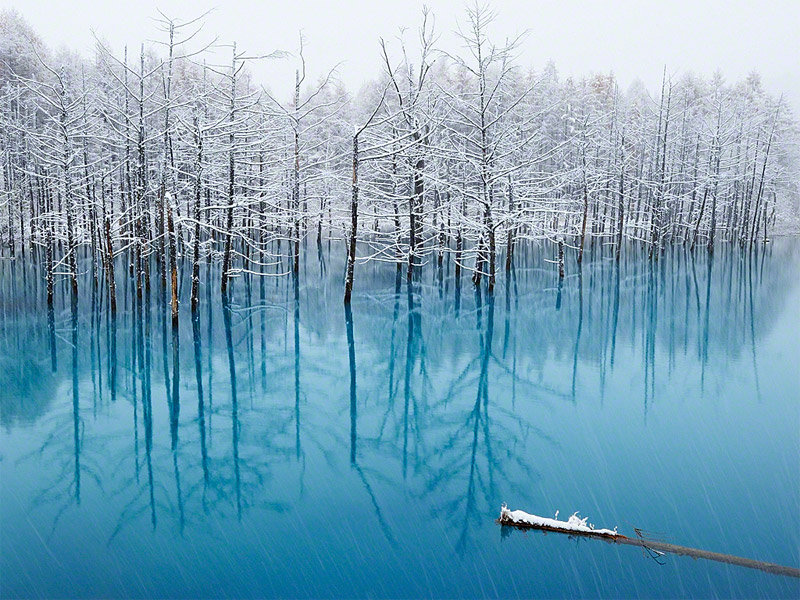 Blue Pond Hokkaido สถานที่แปลก ฮอกไกโด เที่ยวญี่ปุ่น