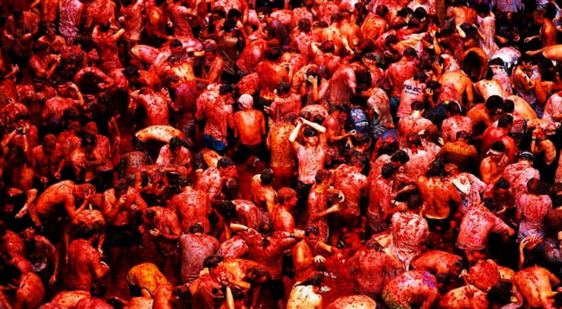 เทศกาลแปลก เทศกาลปามะเขือเทศ (La Tomatina)