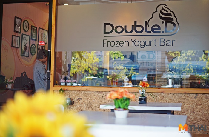 Double Frozen Yogurt Bar 