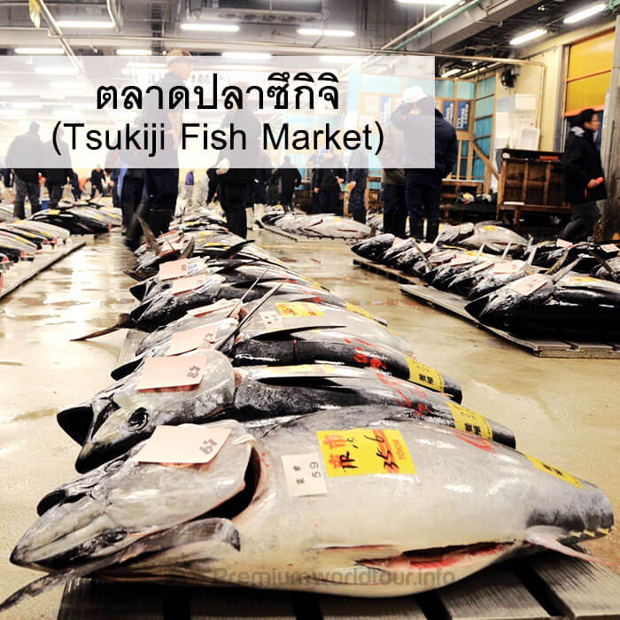 ตลาดปลาซึกิจิ (Tsukiji Fish Market)
