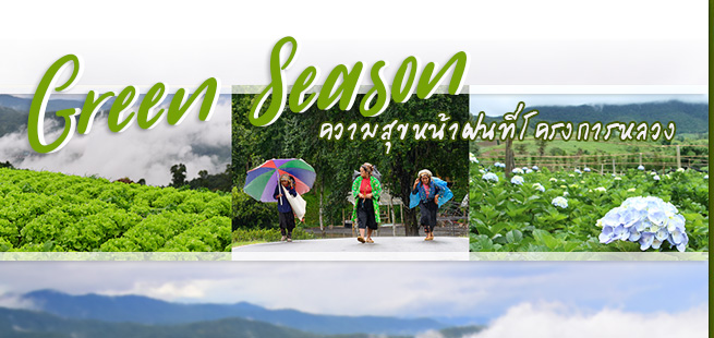 green season thai royal project ที่เที่ยวภาคเหนือ โครงการหลวง