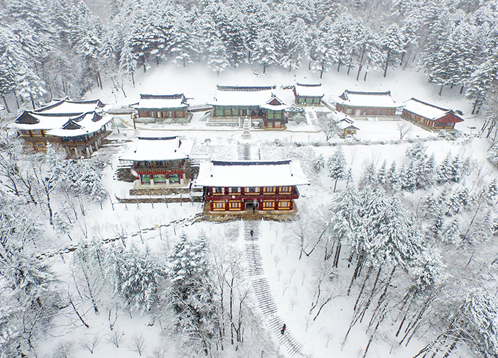 Pyeongchang Trout Festival Yongpyong Ski Resort คังวอนโด ที่เที่ยวเกาหลีใต้ บยองบังชิ สกายวอร์ค ฟาร์มแกะแดกวานรยอง ศูนย์วัฒนธรรมอาหารเกาหลี จองคังวอน เทศกาลตกปลาในน้ำแข็ง เมืองพย็องชัง โอลิมปิกฤดูหนาว 2018