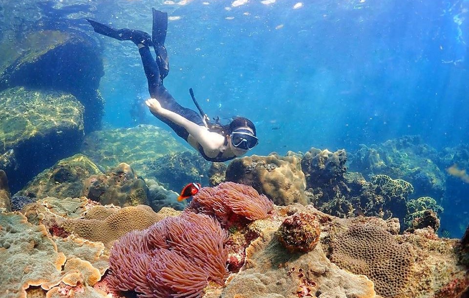 ดำน้ำชมปะการัง อ่าวแสมสาร เที่ยว ดำน้ำ เที่ยวสัตหีบ