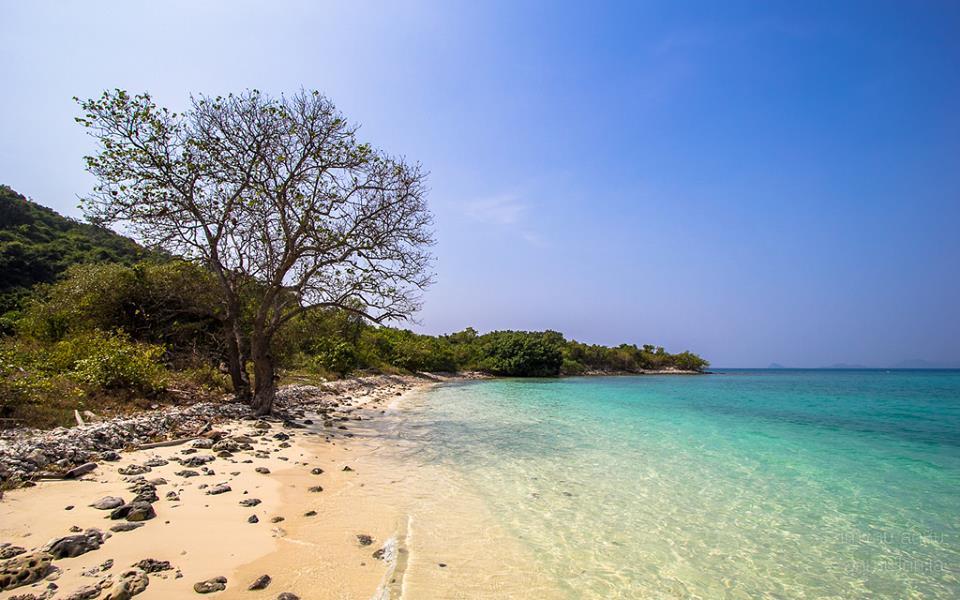ทะเลใกล้กรุงเทพ ที่เที่ยวชลบุรี ที่เที่ยวทะเล เกาะขาม เกาะขาม สัตหีบ เที่ยวสัตหีบ