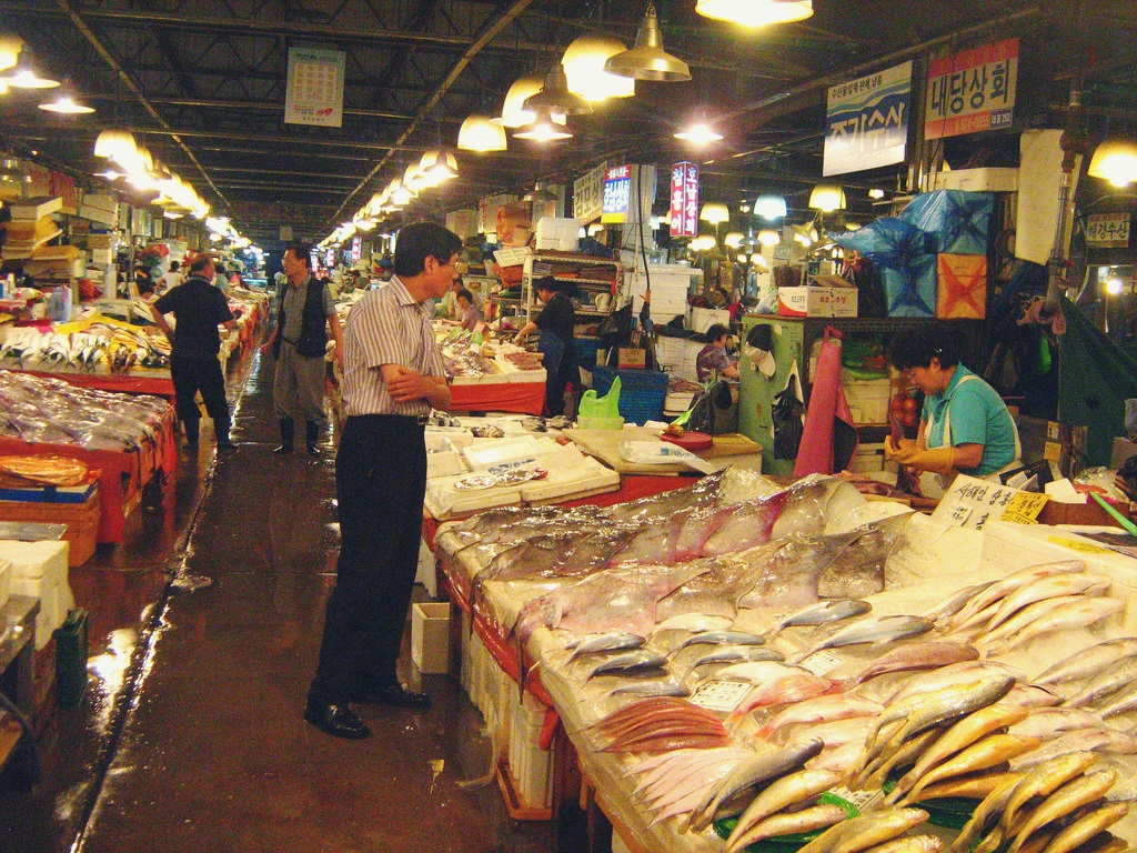 ซีฟู้ด ตลาดปลา ตลาดปลา ญี่ปุ่น ตลาดปลาซิดนีย์ ตลาดปลาซึคิจิ ตลาดปลานอร์ยางจิน ตลาดปลาไทเป อาหารทะเล เที่ยวตลาด