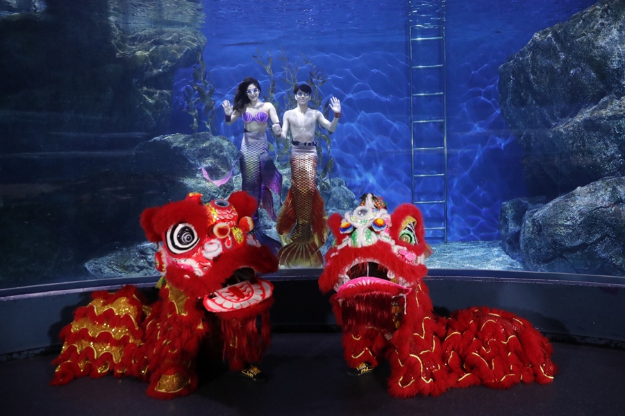 ขบวนสิงโตจีน คนเกิดปีหมู ซีไลฟ์ แบงคอก นางเงือก วันตรุษจีน อควาเรียม อั่งเปา เชิดสิงโต เทศกาลตรุษจีน แป๊ะยิ้ม โชว์ใต้น้ำ