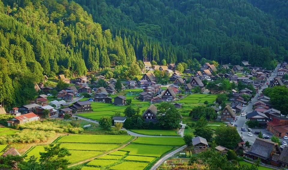 Shirakawago จังหวัดกิฟุ ชิราคาวาโกะ ที่เที่ยวกิฟุ ที่เที่ยวญี่ปุ่น ที่เที่ยวญี่ปุ่นหน้าร้อน หมู่บ้านชิราคาวาโกะ หมู่บ้านมรดกโลก เที่ยวญี่ปุ่น เที่ยวญี่ปุ่นหน้าร้อน