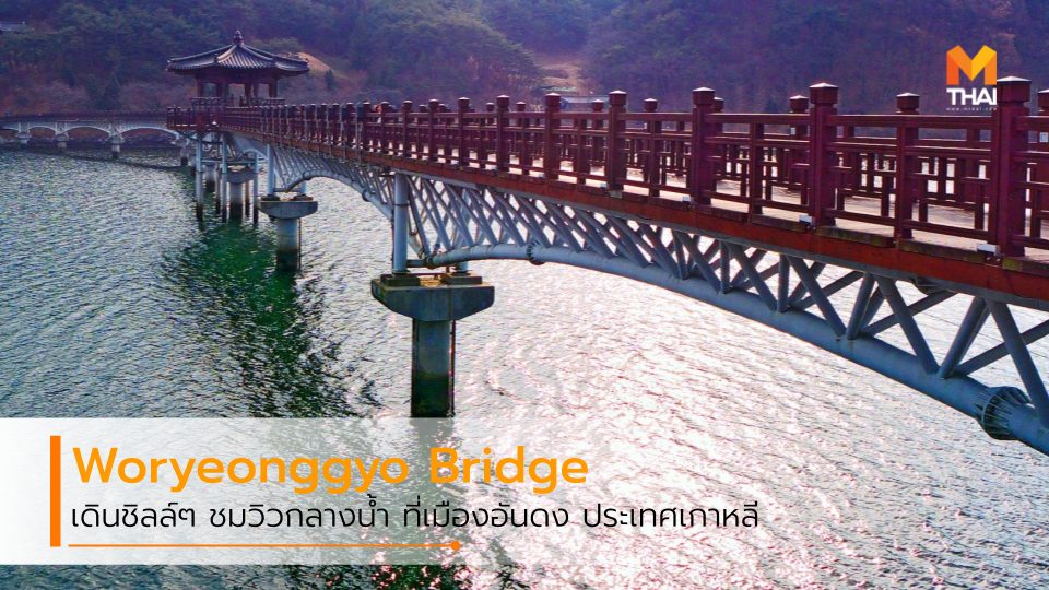 Woryeonggyo Bridge ที่เที่ยวเกาหลี ที่เที่ยวเกาหลีใต้ สะพาน Woryeonggyo สะพานข้ามแม่น้ำ สะพานไม้ เกาหลีใต้ เที่ยวเกาหลี