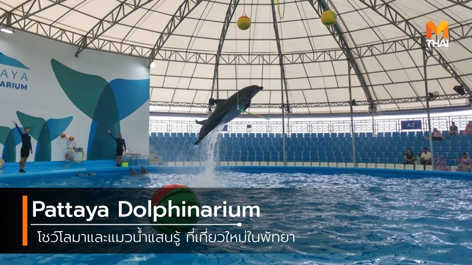 Pattaya Dolphinarium ที่เที่ยวชลบุรี ที่เที่ยวพัทยา เที่ยวชลบุรี เที่ยวพัทยา โลมาโชว์