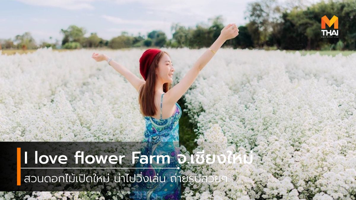 I love flower Farm ที่เที่ยวเชียงใหม่ ทุ่งดอกไม้ สวนดอกไม้ เที่ยวเชียงใหม่
